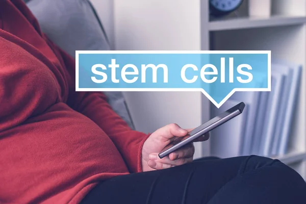 Беременная женщина ищет в интернете стволовые клетки на мобильном телефоне — стоковое фото