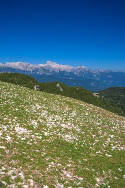 Mountainscape gün güneşli yaz