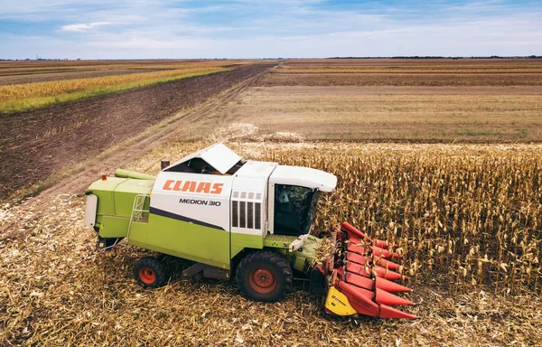 Clausole combinano mietitrebbia lavorando sul campo di mais — Foto Stock