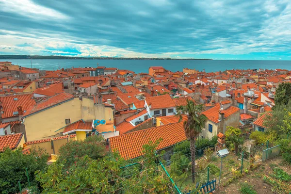 Piran daken in de zomer — Stockfoto