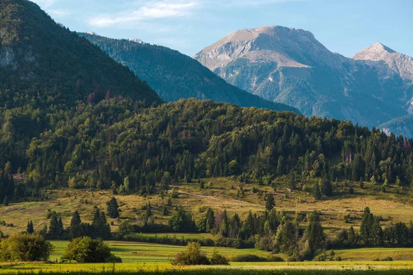 Paisagem incrível dos Alpes Julianos no verão — Fotografia de Stock