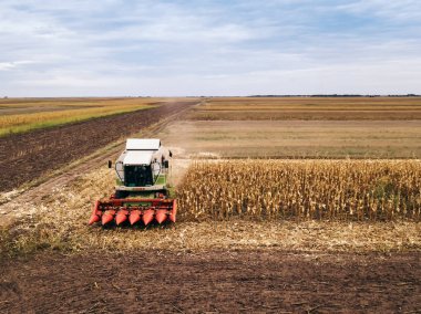 Claas hasat Mısır sahada çalışan birleştirme