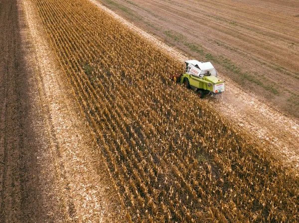 CLAAS зерновий комбайн працює над кукурудзяне поле — стокове фото