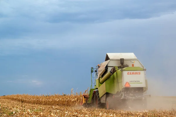 Clausole combinano mietitrebbia lavorando sul campo di mais — Foto Stock