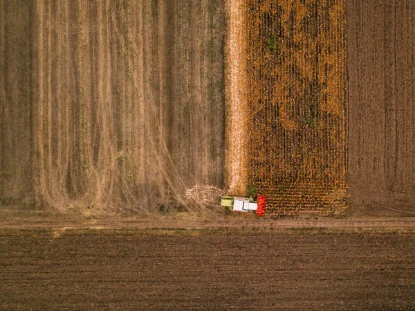Claas combine harvester working on corn field — Stock Photo, Image