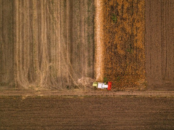 Claas combine harvester working on corn field