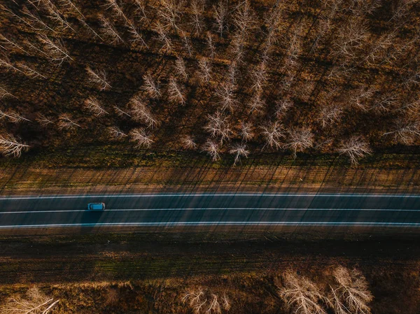 秋の森を通る道路の車の空中写真 — ストック写真