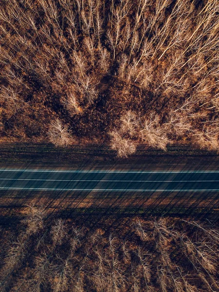 Widok z lotu ptaka nowe drogi przez las jesienią — Zdjęcie stockowe