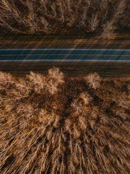 Вид с воздуха на новую дорогу через осенний лес — стоковое фото