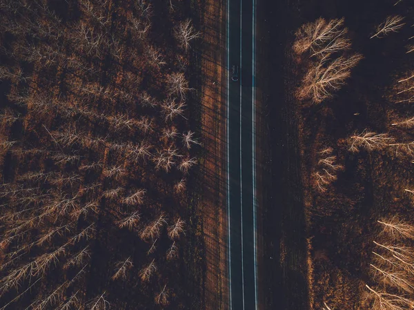Вид с воздуха на автомобиль по дороге через осенний лес — стоковое фото