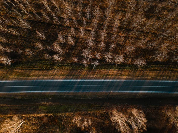 Vista aérea da nova estrada através da floresta de outono — Fotografia de Stock