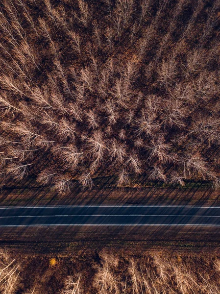 Vista aérea de la nueva carretera a través del bosque de otoño —  Fotos de Stock