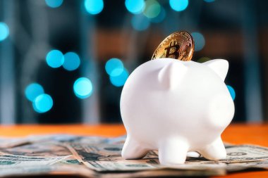 Bitcoin tasarruf ve yatırım kavramı