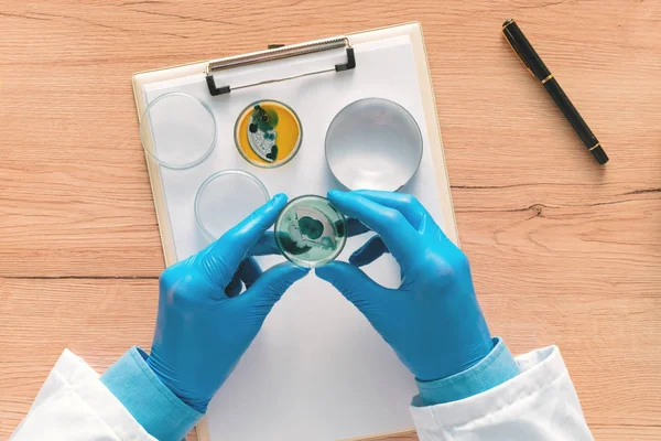 Petri kabına bact analiz laboratuvar teknisyeni havai görünümü
