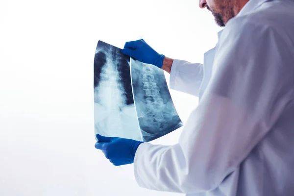 人間の背骨のレントゲン写真を調べて医師 — ストック写真