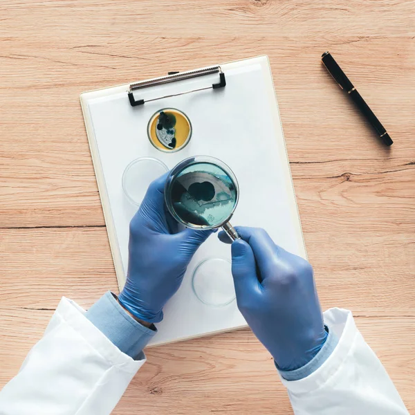 Overhead view of laboratory technician analyzing petri dish bact — Stock Photo, Image