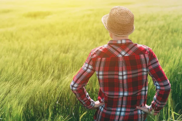 Concept van verantwoorde landbouw, vrouwelijke boer in granen gewassen fi — Stockfoto