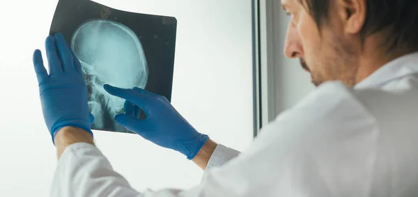 Доктор осматривает рентген черепа — стоковое фото