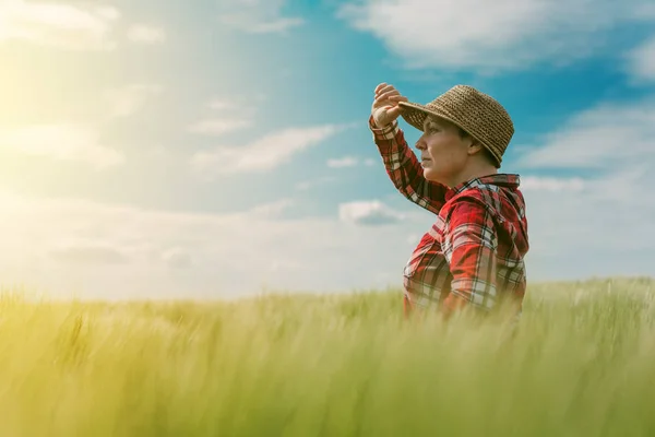 Concepto de agricultura responsable, agricultora en cultivos de cereales fi —  Fotos de Stock