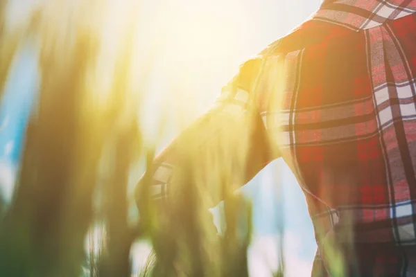 Female farmer looking at the sun on the horizon — Stock Photo, Image