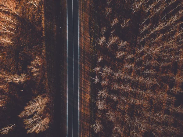 Vista aérea da nova estrada através da floresta de outono — Fotografia de Stock