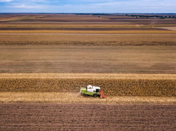 Widok z lotu ptaka połączyć zbioru pole kukurydzy — Zdjęcie stockowe