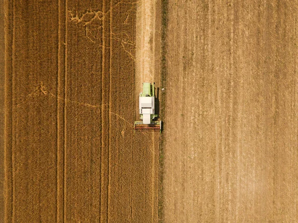 Вид с воздуха на комбайны, собирающие пшеницу — стоковое фото