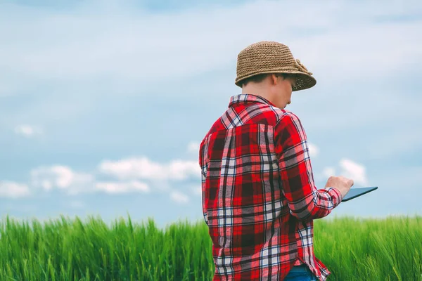 Жінка-фермер, яка використовує планшетний комп'ютер у полі пшениці — стокове фото