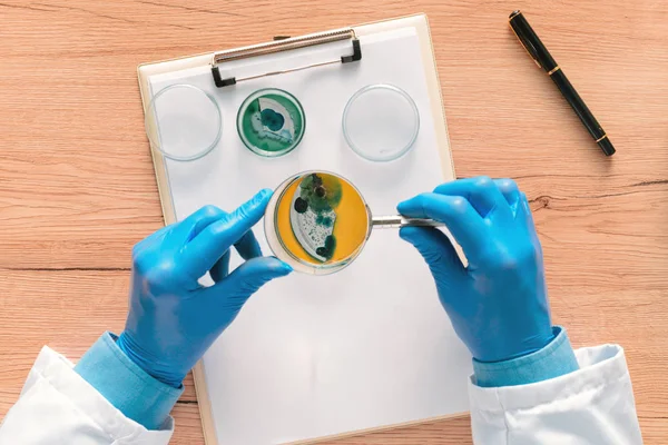 Visão geral do técnico de laboratório analisando bact placa de Petri — Fotografia de Stock