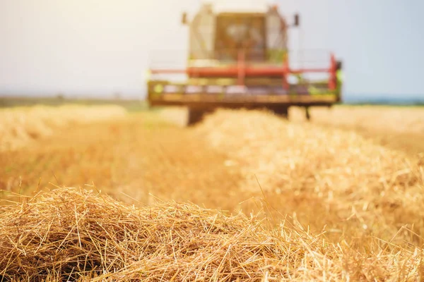 Combineren van harvester machine rijp tarwe oogsten — Stockfoto