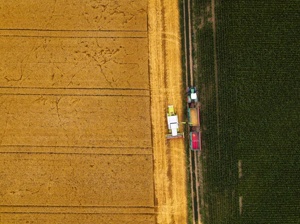 Vista aérea de la cosechadora que descarga el trigo cosechado —  Fotos de Stock