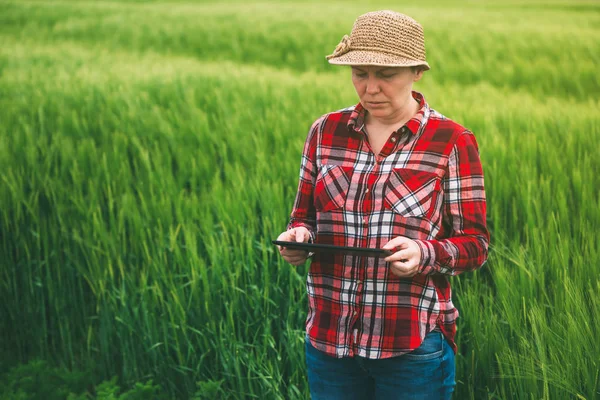 Agricoltrice che utilizza tablet computer nel campo delle colture di grano — Foto Stock