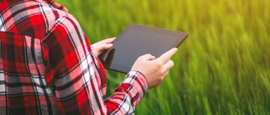 Kadın çiftçi tablet bilgisayar buğday kırpma alanı kullanma