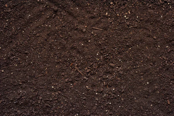 Agricultural soil texture top view — Stock Photo, Image