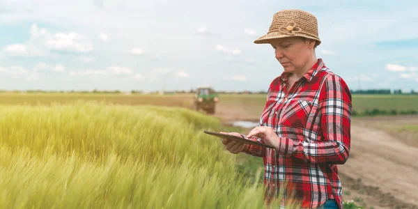 Розумне землеробство, використовуючи сучасні технології в сільськогосподарській діяльності — стокове фото
