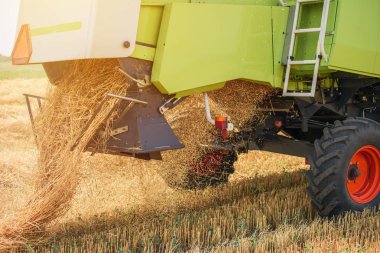 Olgun buğday hasat hasat makinesi birleştirmek
