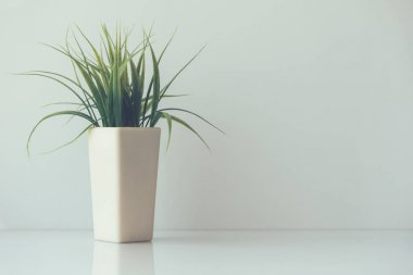 Minimalist kompozisyon - bir tencerede plastik çiçek