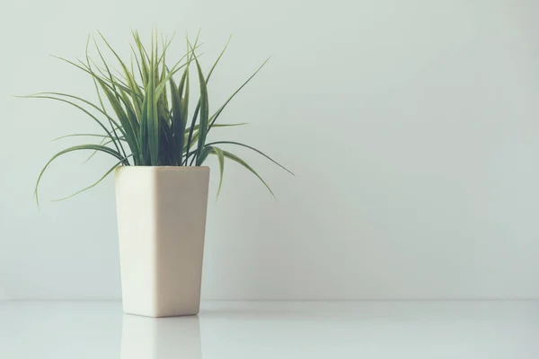 Composição minimalista - flor plástica em um pote — Fotografia de Stock