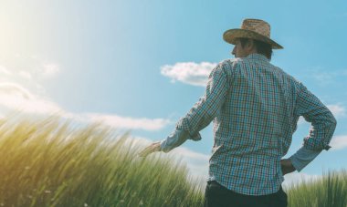 Ufukta güneşe bakarak çiftçi