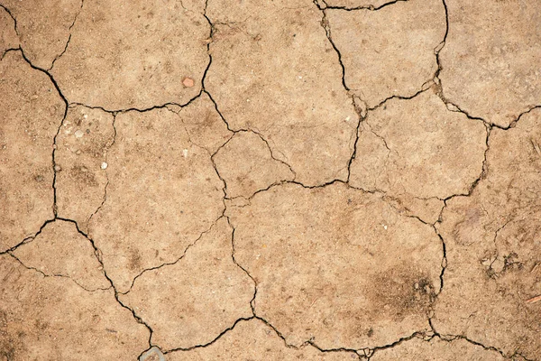 Top view of cracked dry soil ground texture — Stock Photo, Image