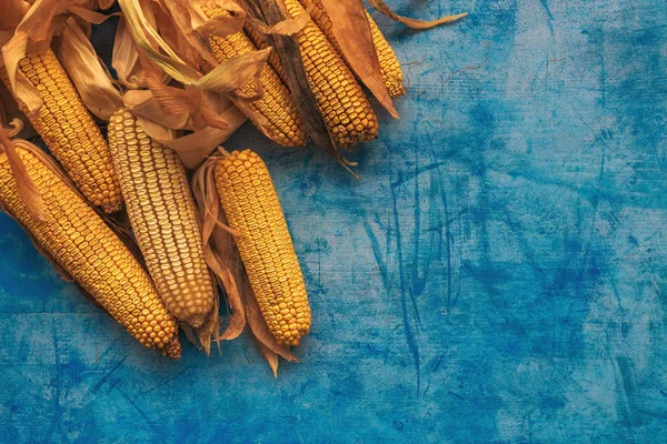 Zebrana kukurydza na kolbie na grunge niebieskim tle — Zdjęcie stockowe