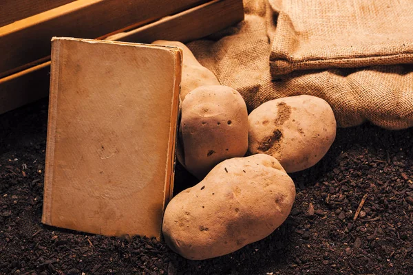 Livro velho sobre o cultivo de batata orgânica, mock up — Fotografia de Stock