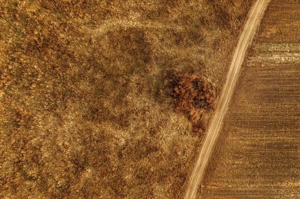 Vue aérienne du chemin de terre poussiéreux à travers un paysage herbeux de plaine — Photo