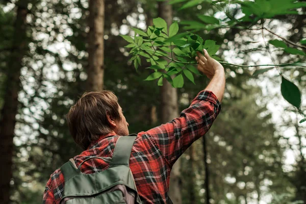 Hombre senderismo en el bosque solo en vacaciones de verano activas — Foto de Stock