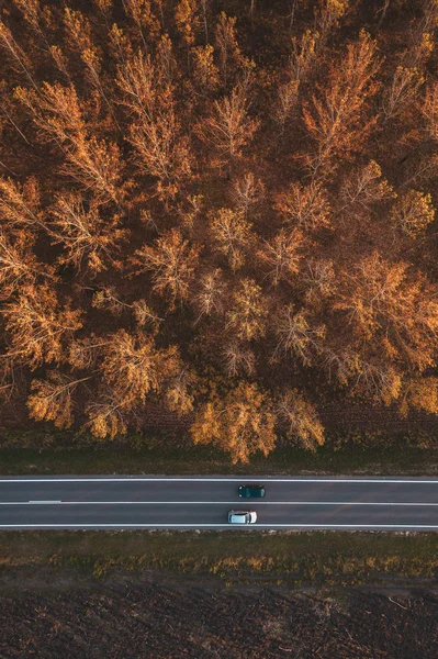 Liikenne tiellä läpi syksyisen haapa puumetsän — kuvapankkivalokuva