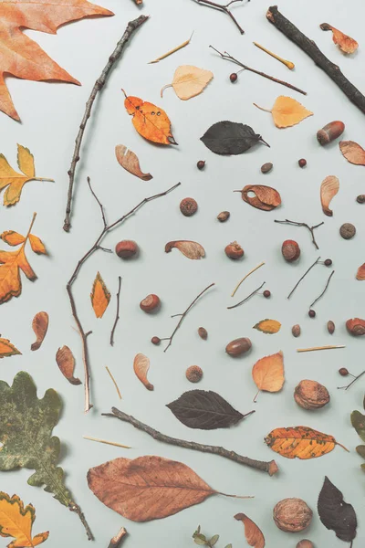 Autumnal decoration flat lay top view — Stock Photo, Image