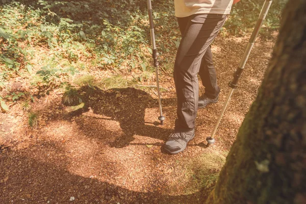 Senderista femenina es trekking en sendero en el bosque — Foto de Stock