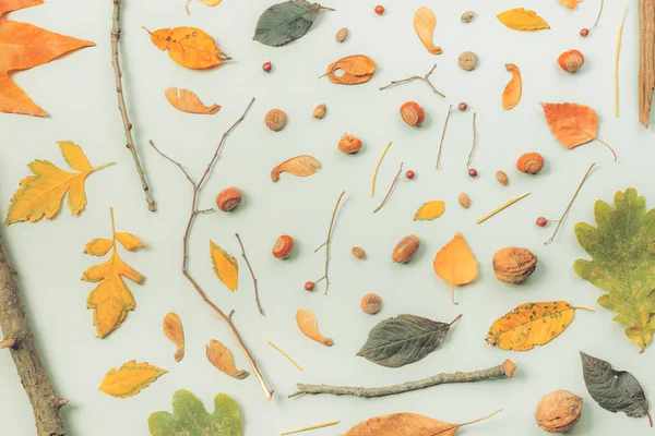 Fall season flat lay decoration background — Stock Photo, Image