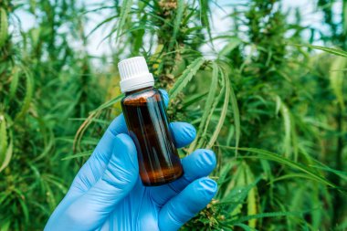 Cbd kenevir yağı şişesini tutan bilimadamı, kapatın.