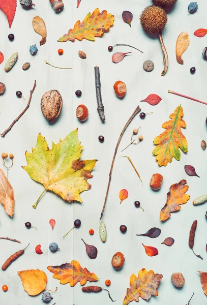 Lapos laikus őszi szezon dekoráció, felülnézet — Stock Fotó